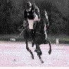4D number 8196 in SportsToto dream dictionary