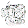 4D number 8197 in SportsToto dream dictionary